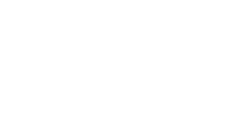 msmt